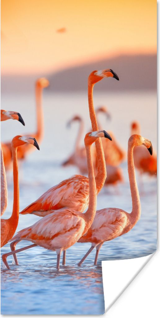 MuchoWow Poster Flamingo - Tiere - Wasser - Rosa 40x80 cm - Dekoration