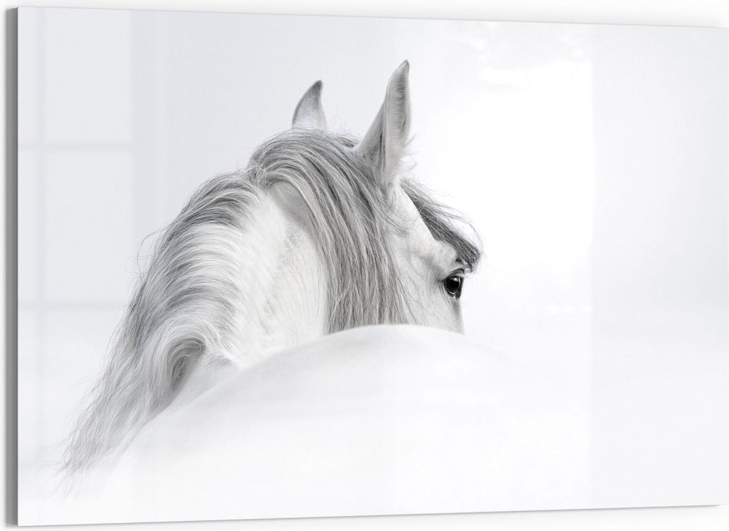DEQORI Magnettafel Glas 60x40 cm 'Andalusisches Pferd' beschreibbar Whiteboard