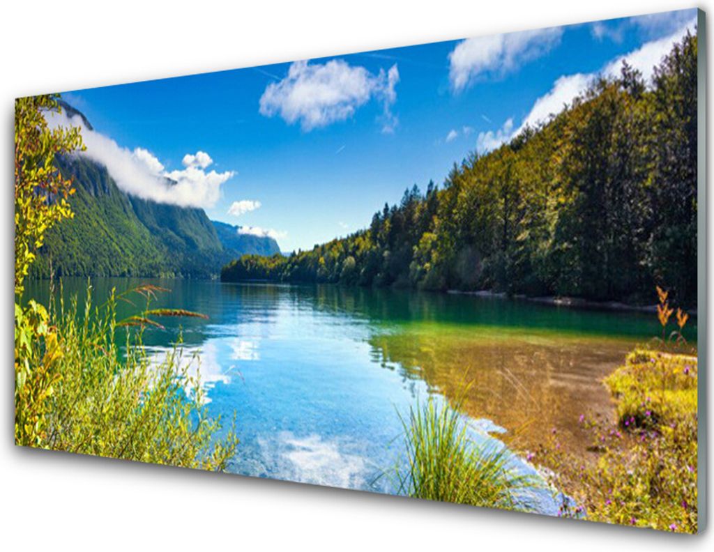 Küchenrückwand aus Glas 100x50cm Spritzschutz Gebirge Wald See Natur