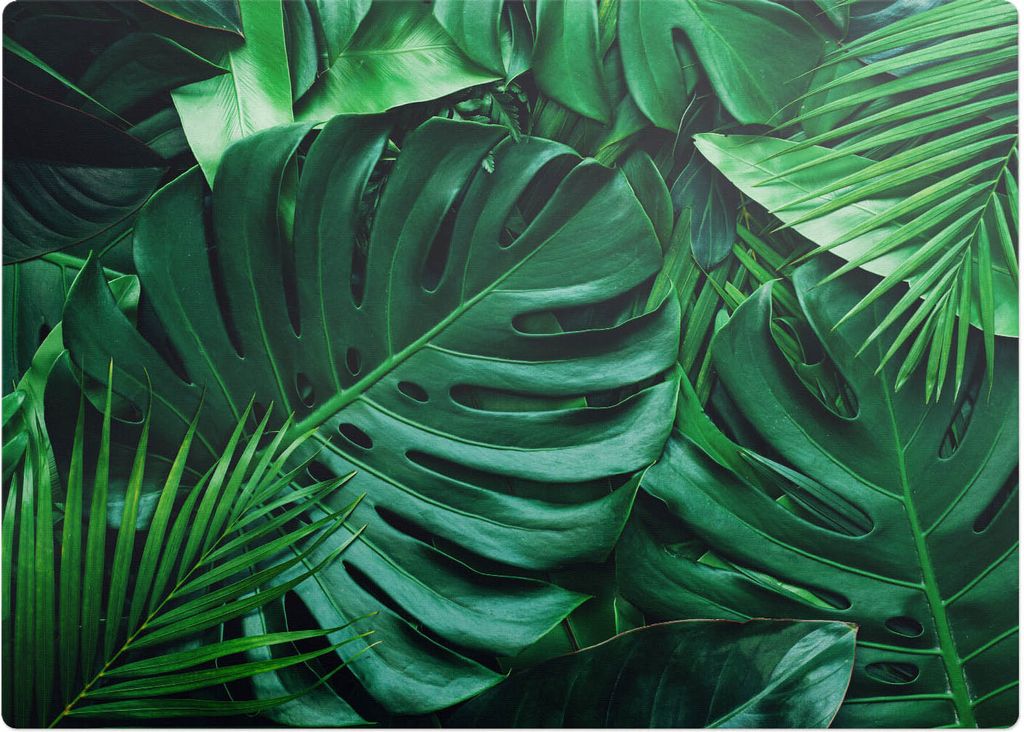 Tropische Blätter – Bodenschutzmatte – Rutschfest – Schutzmatte für Büro – Vinylmatte – Stuhlunterlage – 140 x 100 cm
