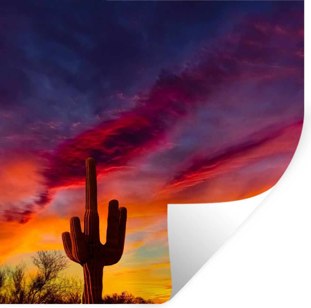 MuchoWow Wandtattoo Wandsticker Wandaufkleber Kaktus - Himmel - Sonnenuntergang - Lila - Rosa 50x50 cm Selbstklebend und Repositionierbar - Selbs...
