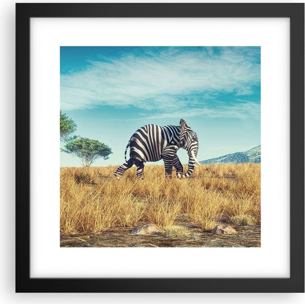 Gerahmtes Poster - Schwarzer Rahmen - Surreal Elefant Rippen - 30x30 cm - Wand Bild - Wanddeko - Wandbilder - Kunstposter - Wandposter - Bilderrahm...