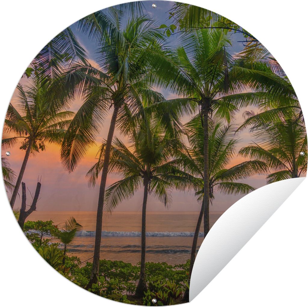 MuchoWow Gartenposter Outdoor-Poster Rund Palme - Tropisch - Meer Ø 150 cm Gartendeko Rundes Poster draußen