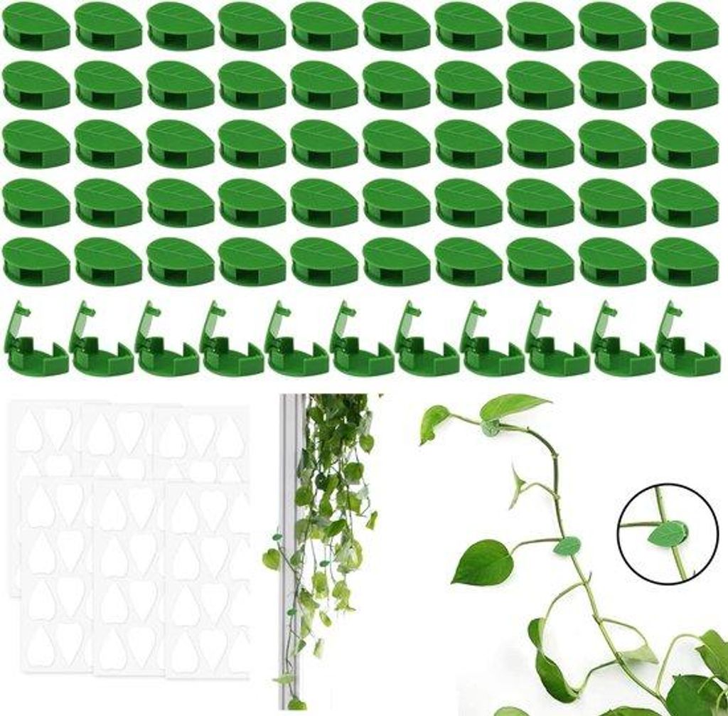 Famanu Pflanzenclips 60 Stück - Wandhalter für Kletterpflanzen