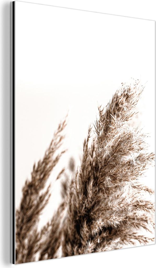 MuchoWow Wanddekoration Metall Metallbild Wandkunst 30x40 cm Pampas-Federn - Natur - Pampasgräser MuchoWow Aluminium Gemälde - Bilder