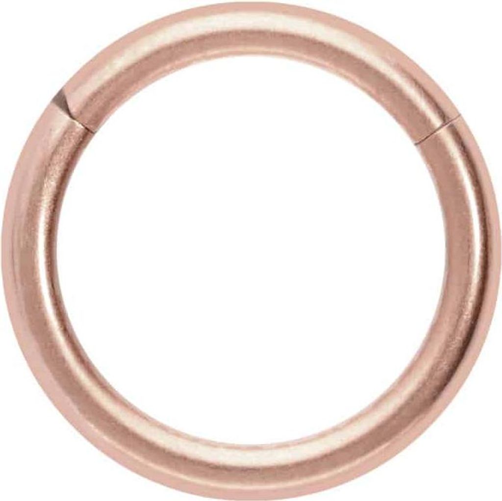 Ohrpiercing, Nasenpiercing, Septum Piercing Titan Segmentring Clicker MATT RoséGold Innendurchmesser: 9mm + Stabstärke: 1,6mm