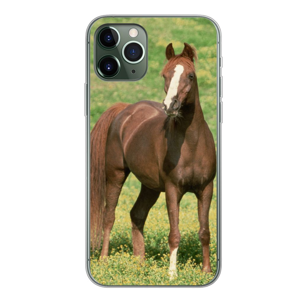 MuchoWow Handyhülle Schutzhülle Hülle für iPhone 11 Pro Pferde - Gras - Braun Silikon Softcase Handy Hülle - Handy