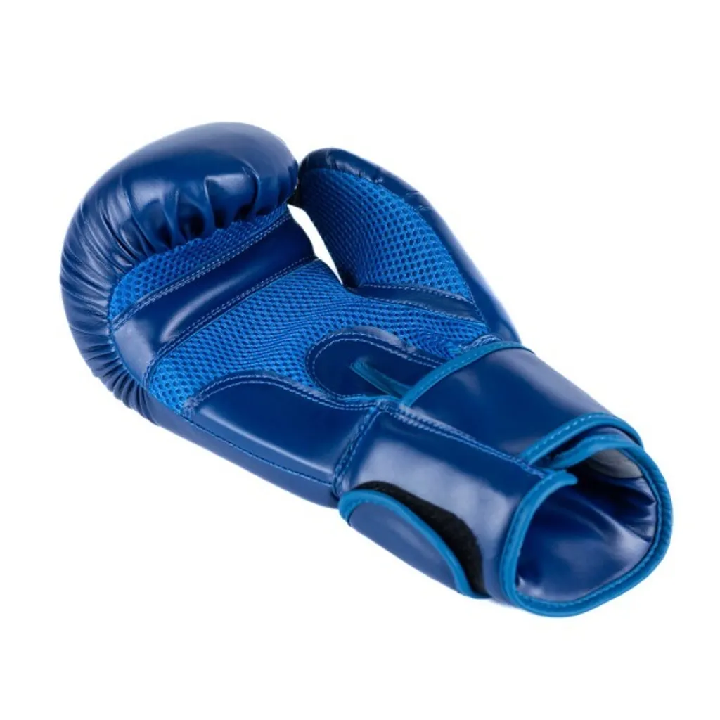 Gants de boxe avec protection poignet DBX BUSHIDO ARB-407-Blue 10oz