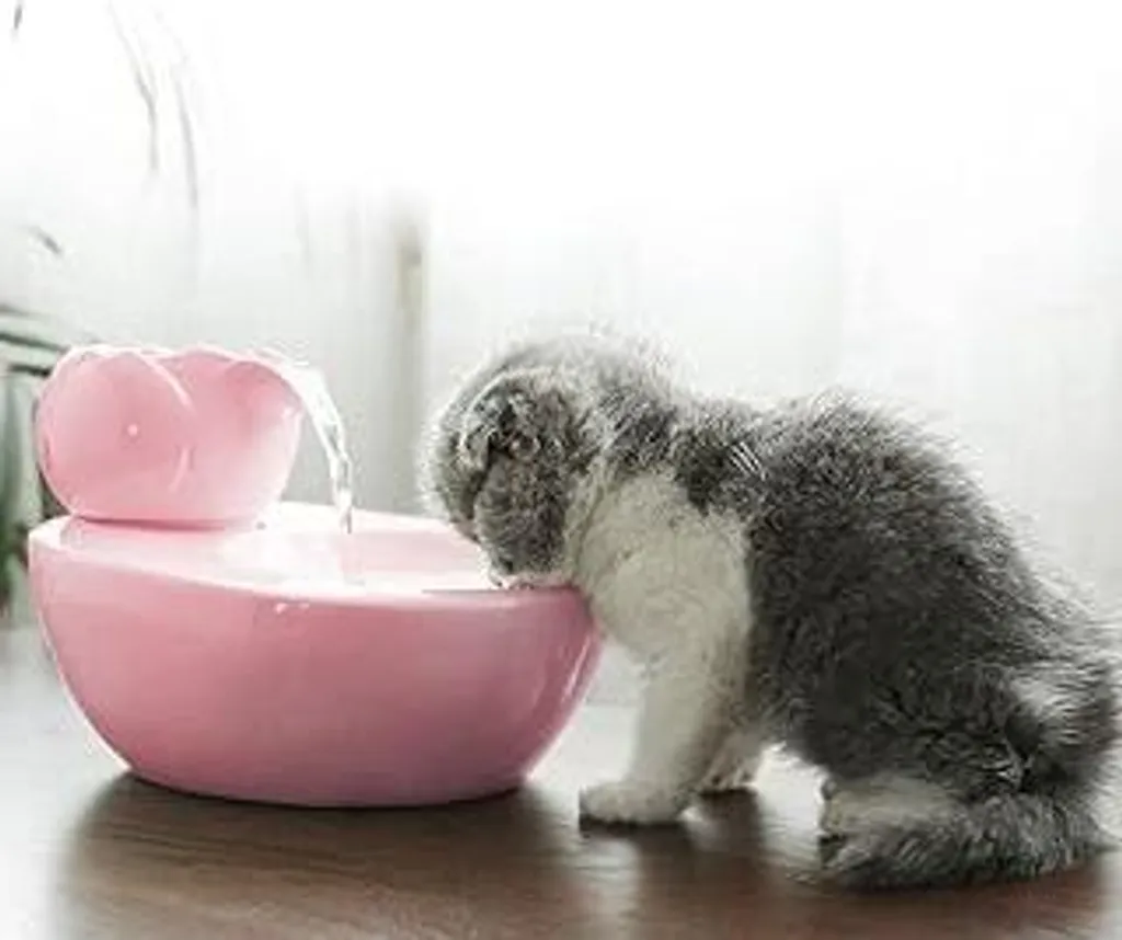 Fontana Lotus Rosa per Gatti: Come Far Bere il Tuo Re della Casa
