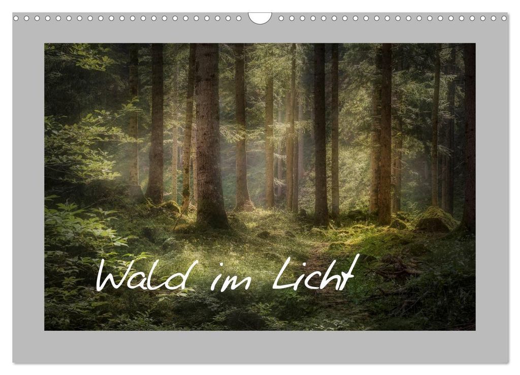 Wald im Licht (Wandkalender 2027 DIN A3 quer), CALVENDO Monatskalender
