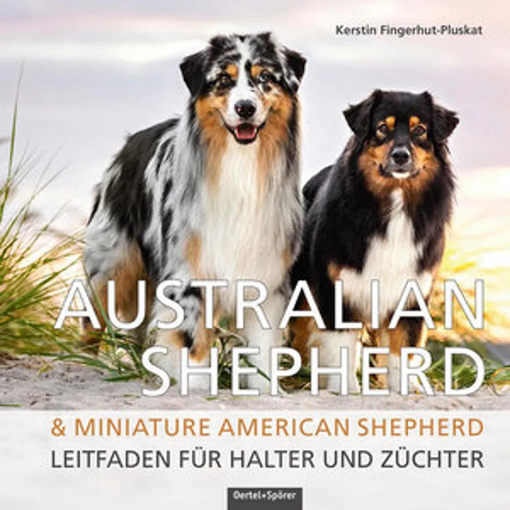 Portrait Berger Australien et Berger Américain Miniature en Bois Chic