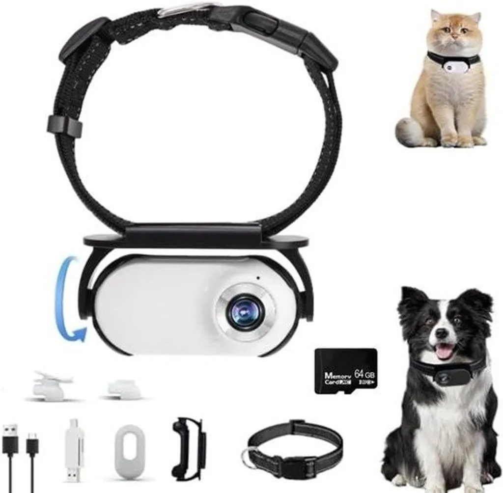 Caméra pour collier de chien étanche - Pack complet avec carte 32Go