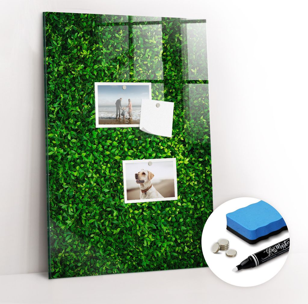 Magnetpinnwand Memoboard - Zubehörsatz - Weißer Marker + Schwamm + Magnete - 40 x 60 cm - Zaunpflanzenblätter