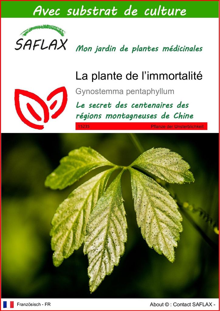 SAFLAX  - La plante de l’immortalité - 30 graines - Avec Image du produit 