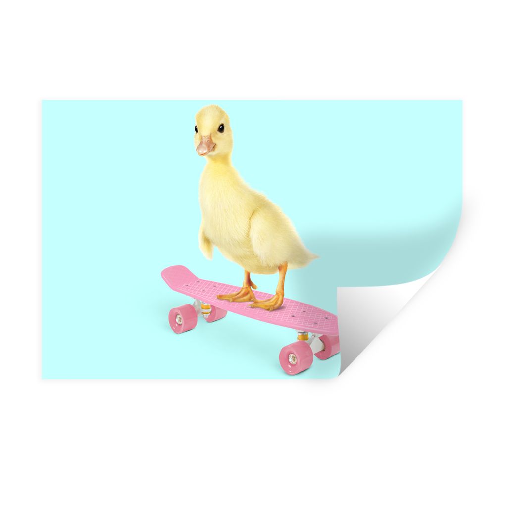 MuchoWow Wandtattoo Wandsticker Wandaufkleber Ente - Küken - Skateboard - Blau - Rosa 60x40 cm Selbstklebend und Repositionierbar - Wierderverwe...