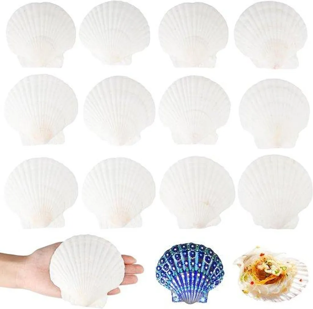 Coupes Décoratives en Bois Blanc 10 cm - Support Artistique et Cuisine