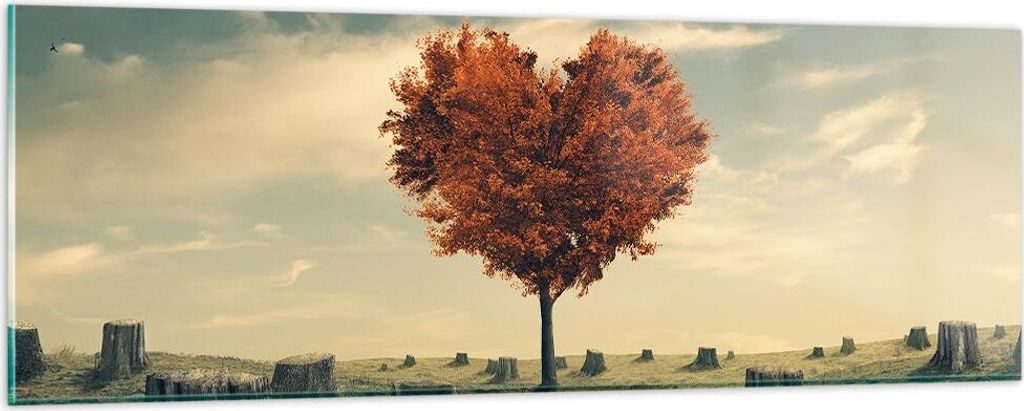 Bilder auf glas - Baum Natur Wiese - 90x30cm - Glasbilder - Wandbilder - Kunstdruck - zum Aufhängen bereit - Wanddekoration aus Glas - Glas Bilder...