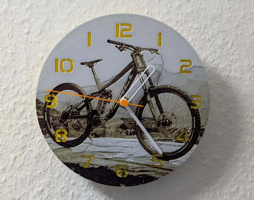 Disque de Frein VTT Downhill Edition Grand Ø 245mm pour Descente