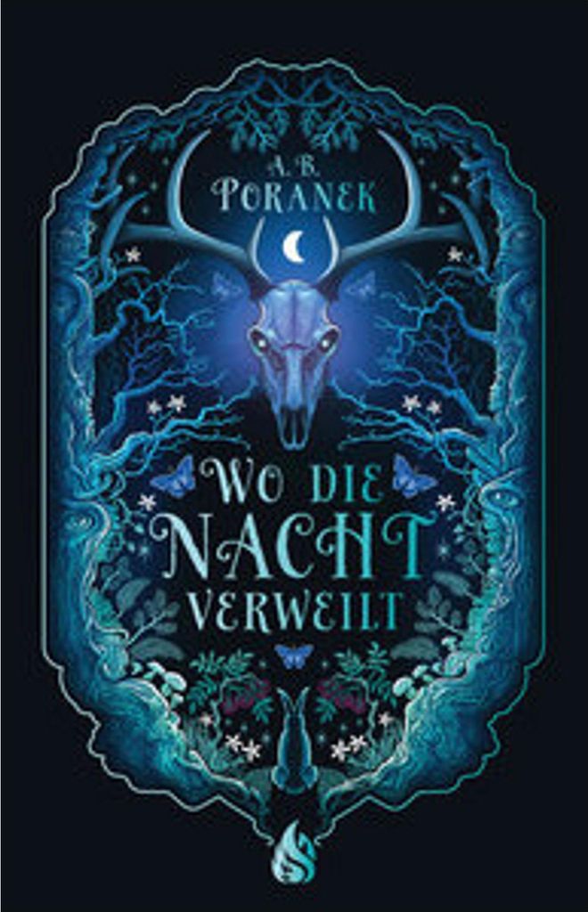 Wo die Nacht verweilt Produktbild 