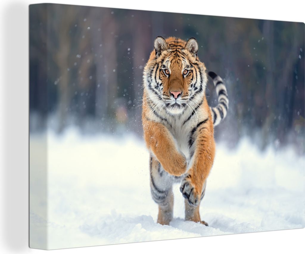 OneMillionCanvasses - Leinwandbilder - 150x100 cm, Tiger - Landschaft - Schnee - Tiere, Wandbilder Kunstdruck Wanddekoration - Foto auf Leinwand ...