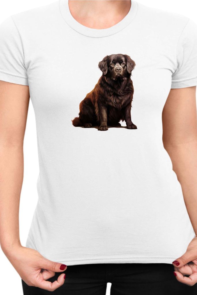 Damen T-Shirt Dogs Breeds Newfoundland Dog Breed 005, Lady M / Weiß