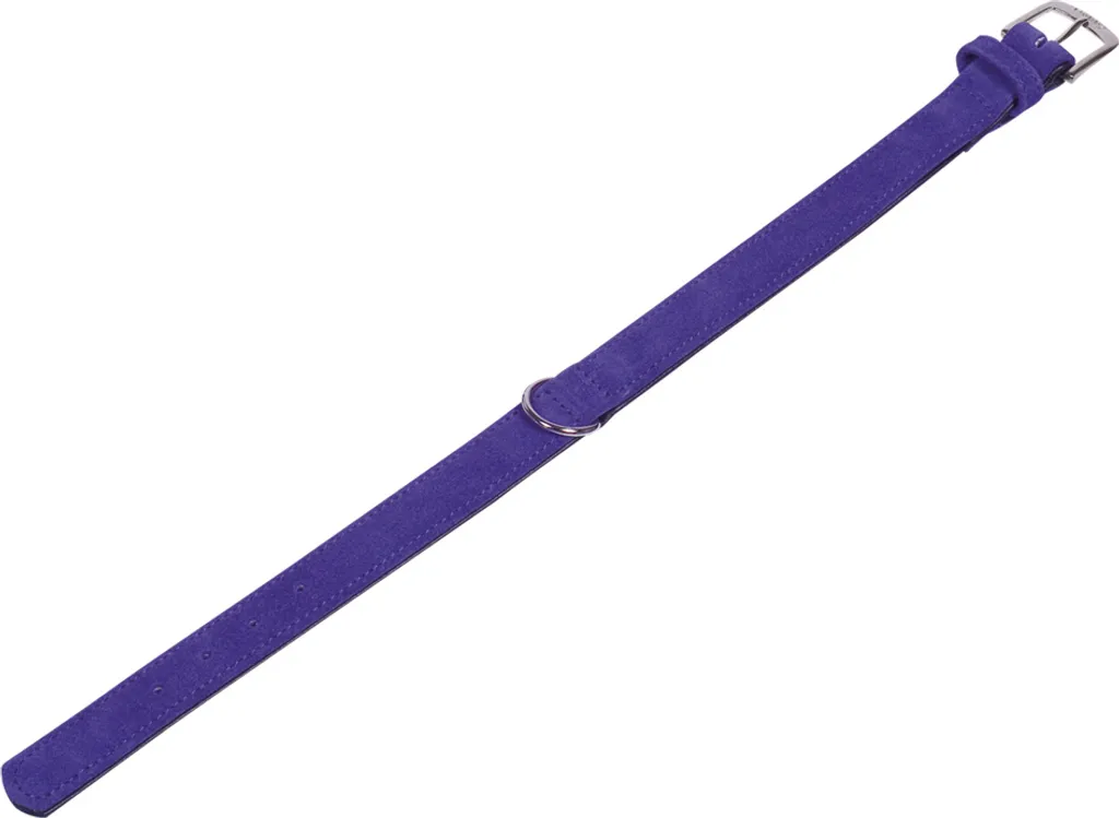 Un Tocco di Nobile Velluto Viola: Il Collare 27cm per il tuo Tesoro
