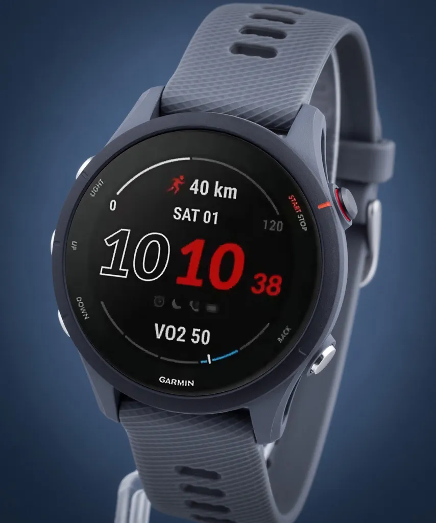 Améliorez vos Chronos avec la Garmin Forerunner 255 Gris et son GPS - 9