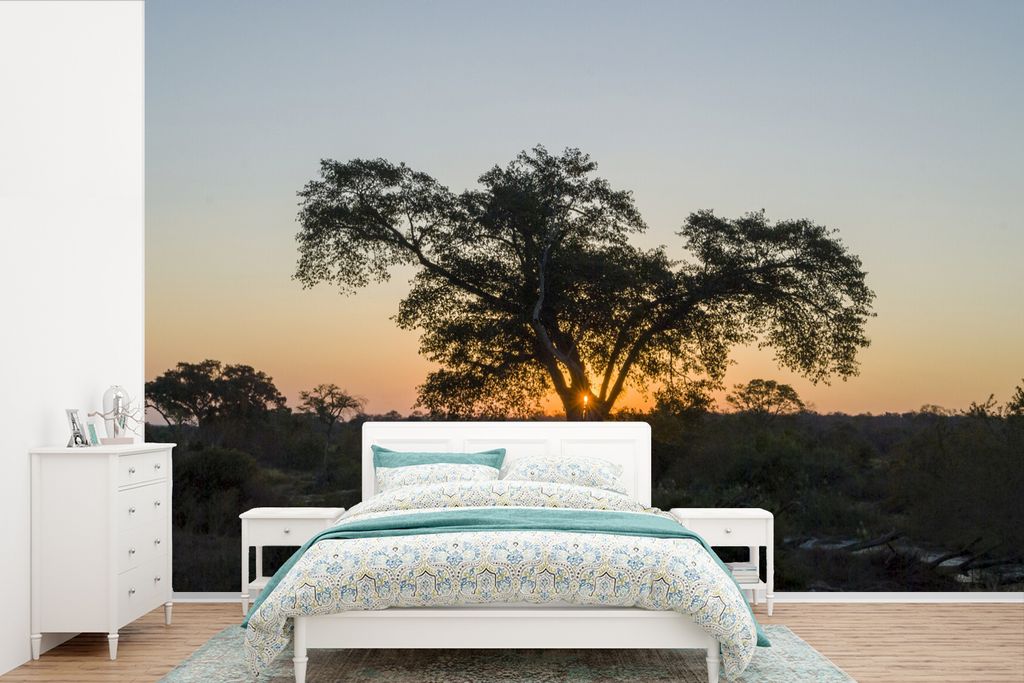 MuchoWow Fototapete für Wohnzimmer oder Schlafzimmer Wandtapete Vinyl Motivtapete Kruger Park am Abend in Südafrika - 420x280 cm - Zimmer für ...