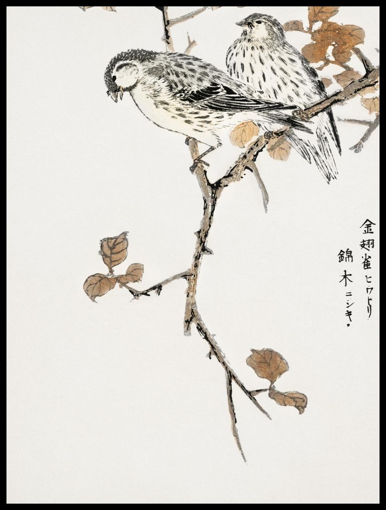 Plakat 60x80cm Siskin und Euonymus Alata, Kashu Vintage für das Wohnzimmer