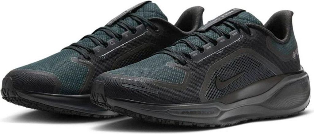 Nike Pegasus 41 GORE-TEX Laufschuhe Herren