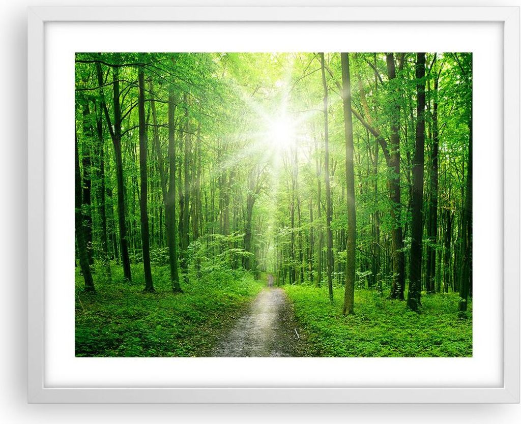 Gerahmtes Poster - Weißer Rahmen - Sonnenstrahlen Wald Sommer - 50x40 cm - Wand Bild - Wanddeko - Wandbilder - Wandposter - Bilderrahmen - Bilder ...