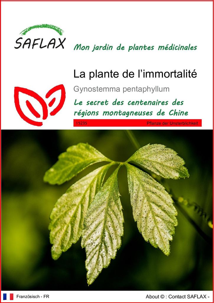 SAFLAX  - La plante de l’immortalité - 30 graines - Image du produit 