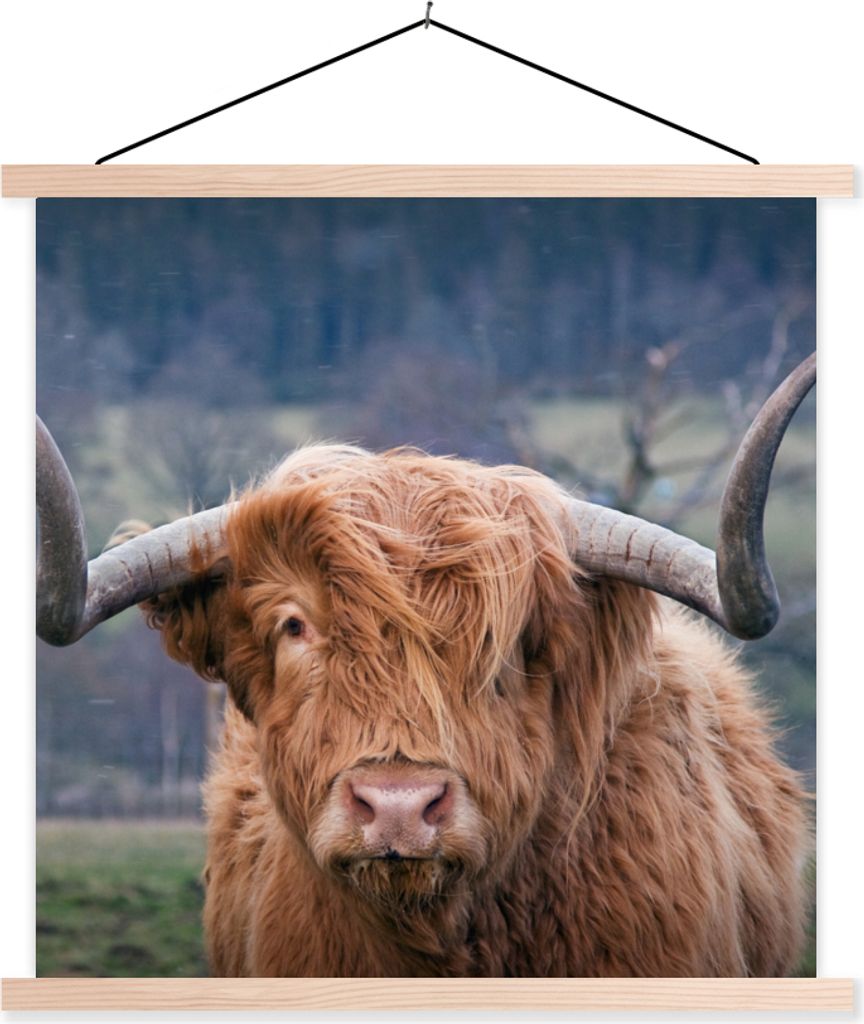 MuchoWow Textilposter Schottisches Hochlandrind - Hörner - Berg 40x40 cm mit holzfarbenen Rahmen - Posterleiste