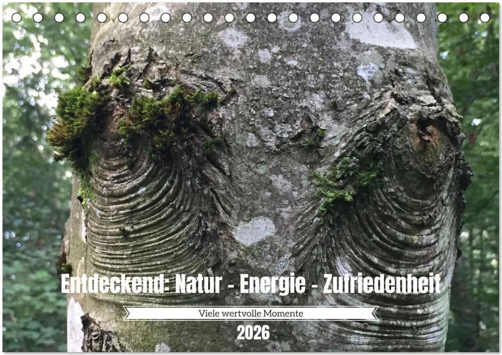 Entdeckend: Natur - Energie - Zufriedenheit (Tischkalender 2026 DIN A5 quer), CALVENDO Monatskalender