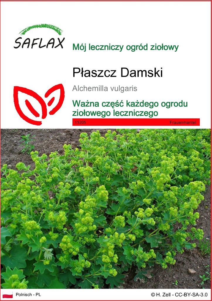 SAFLAX - Płaszcz Damski - 100 Nasiona - Alchemilla vulgaris Zdjęcie produktu 