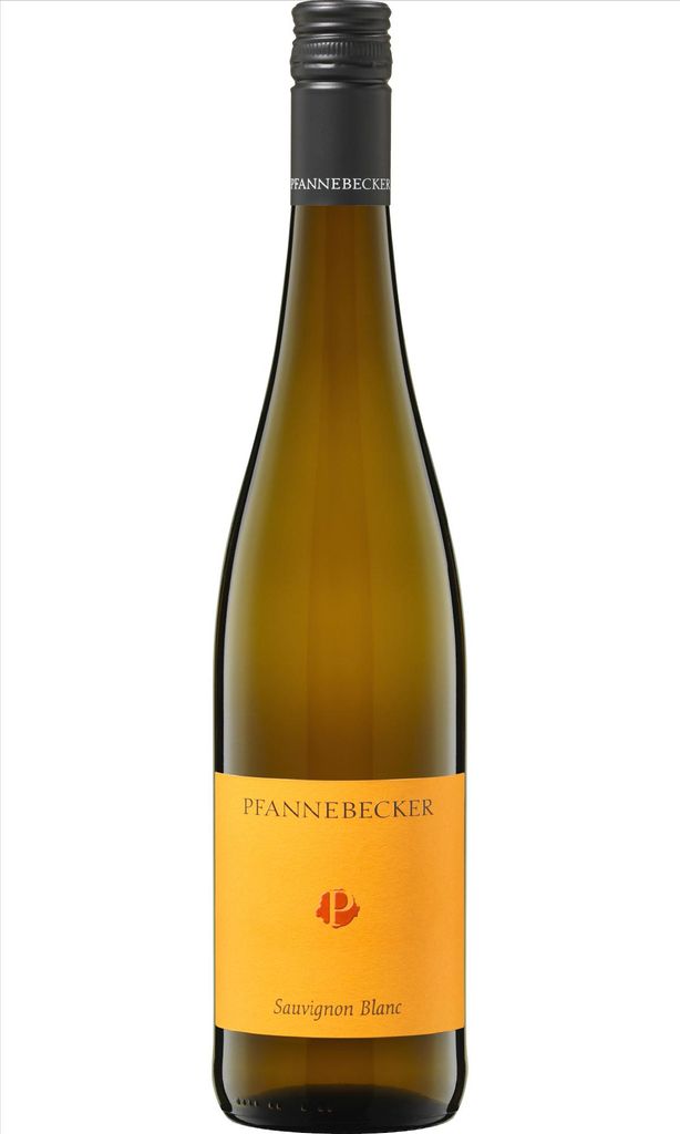Weingut Pfannebecker Sauvignon Blanc trocken DE-ÖKO-022* Produktbild 