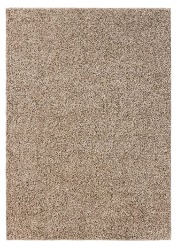 Grand Tapis de Salon Rectangulaire Antidérapant et Lavable Soho 120x170