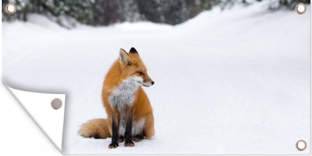 MuchoWow 60x30 cm Outdoor-Poster Gartendeko Sichtschutz Garten Poster für den Garten Fuchs - Schnee - Winter
