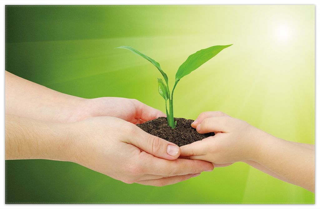 Wallario Premium Teppich, Größe 90 x 140 cm, Eine zarte Pflanze - von Hand zu Hand