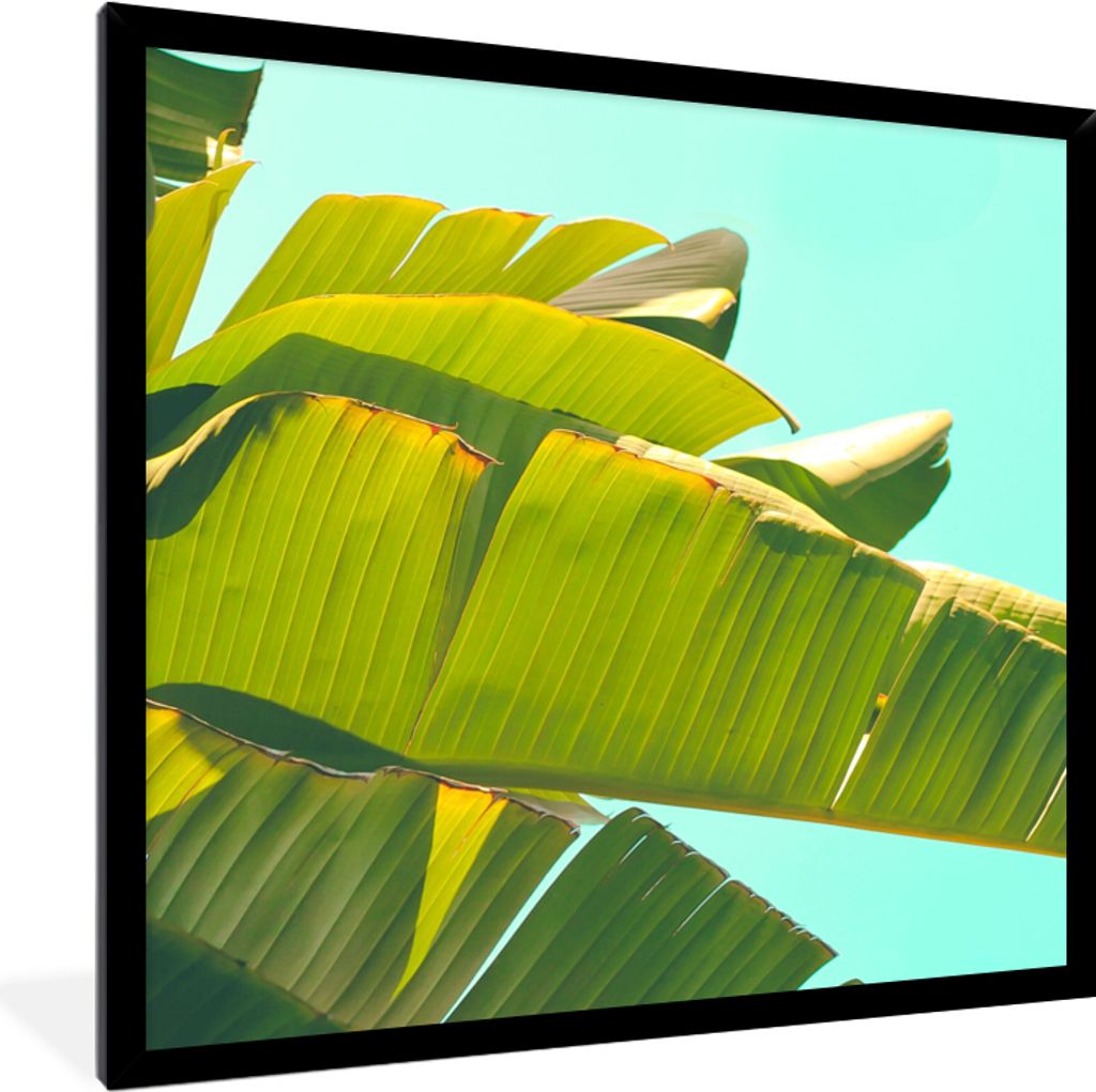 MuchoWow Gerahmtes Poster Bananenblatt - Blätter - Tropisch - Sommer 40x40 cm - Poster mit Schwarzem Bilderrahmen Wandposter Rahmen Foto Bilder ...