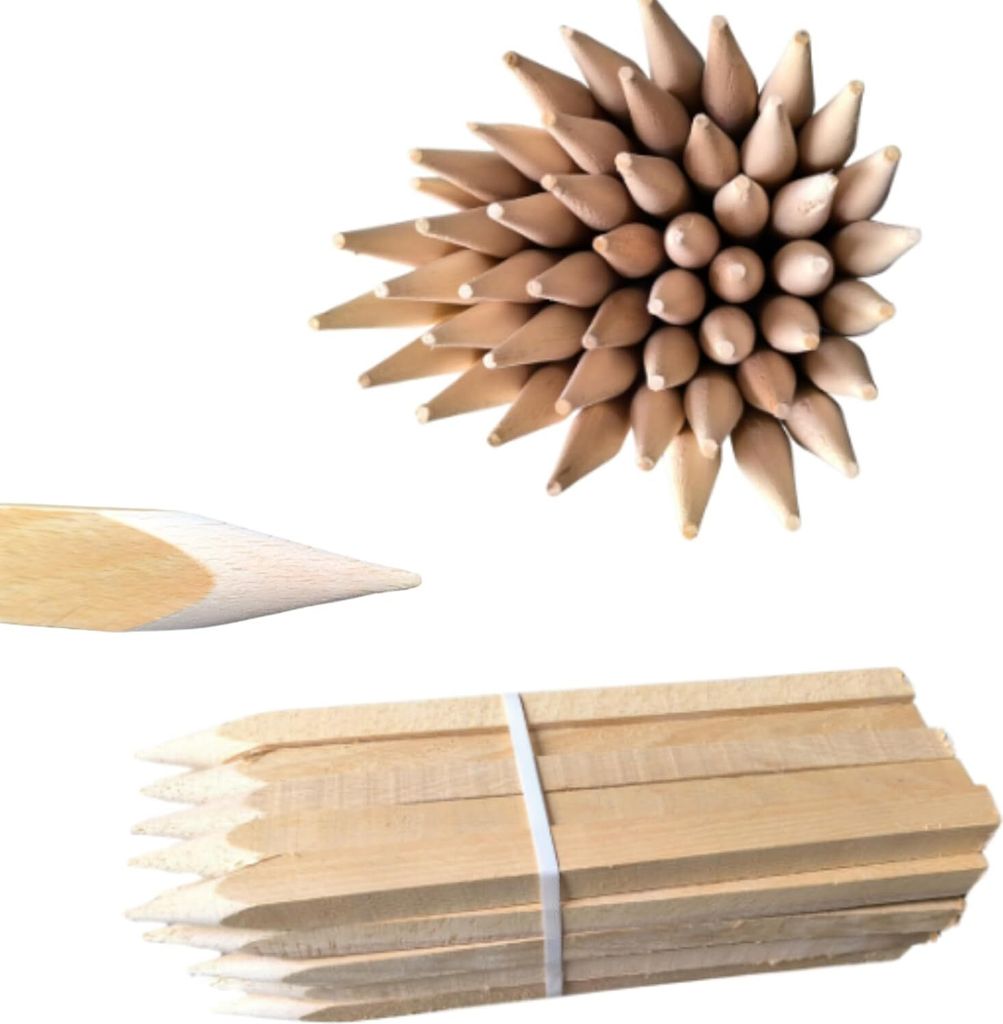 Holzpfähle Buchenholz Quadratisch 50 Stück - Längen 100 cm Holzpflöcke für Markierungen Spitze Tomatenstäbe Pflanzstäbe Tomaten Rankhilfe 25...