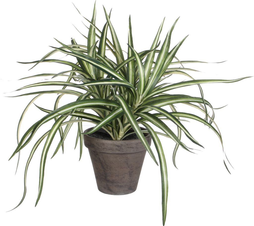 Mica Decorations Dracaena Kunstpflanze im Blumentopf Stan - Produktbild 