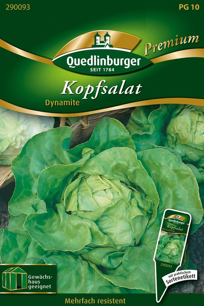 Quedlinburger Kopfsalat Dynamite - Premium Gemüsesamen