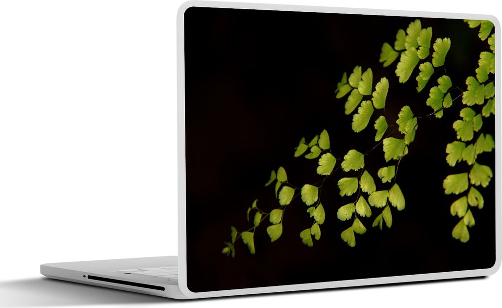 MuchoWow Laptop Aufkleber Sticker Cover Mehrere Venus Haar Blätter auf einem schwarzen Hintergrund 31x22.5 cm - Laptop-Deko