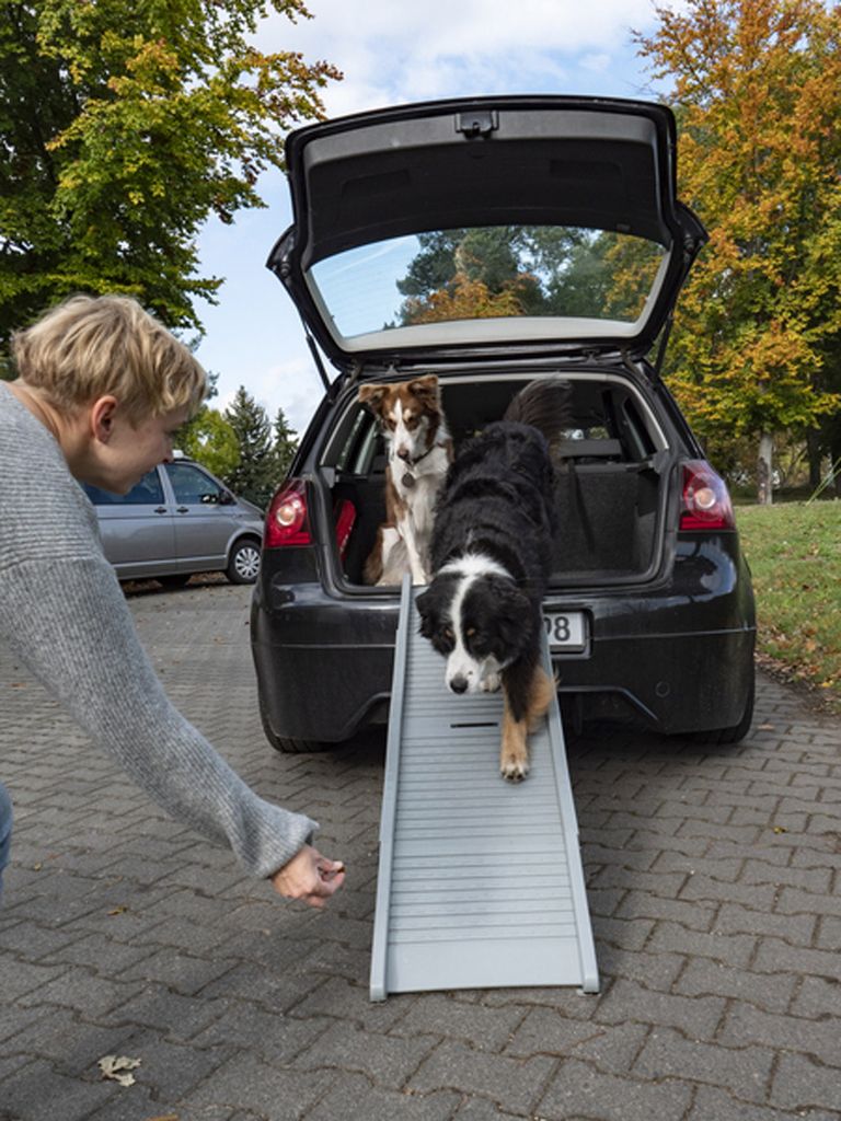 Hunderampe Emma belastbar bis 40kg Tiereinstiegshilfe für Produktbild 6
