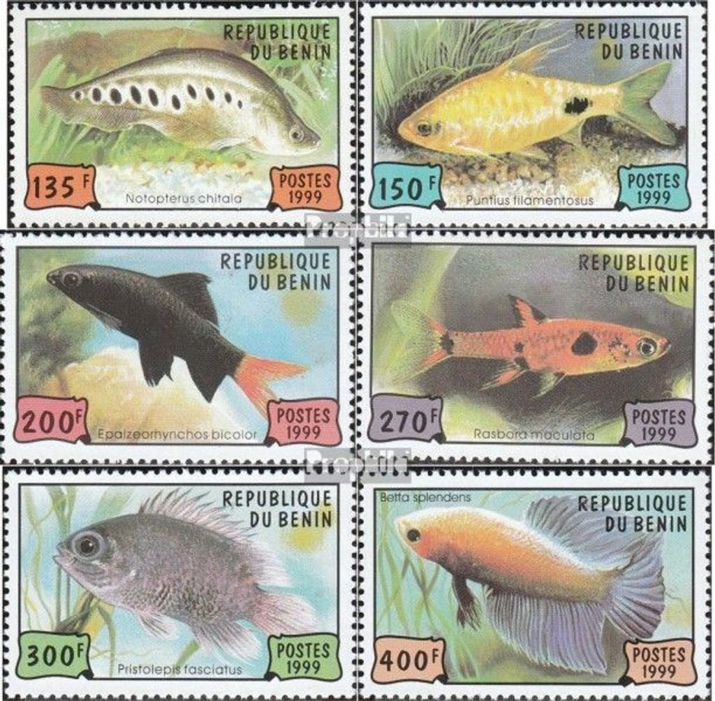 Briefmarken Benin 1999 Mi 1163-1168 (kompl.Ausg.) postfrisch Aquarienfische