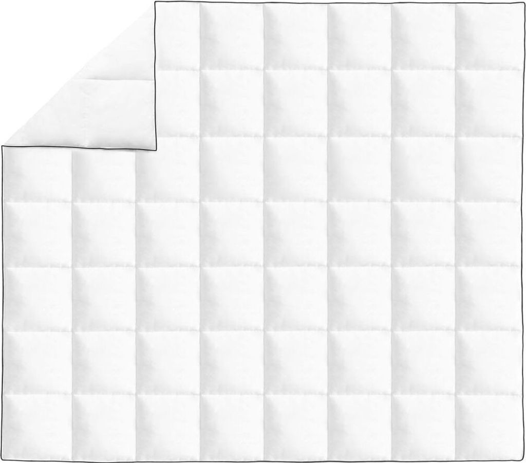 vidaXL Couette d'hiver en duvet 240x220 cm Image du produit 