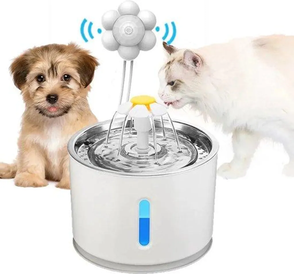 Gamelle d'eau ergonomique pour animaux domestiques avec rebord anti-éclaboussure