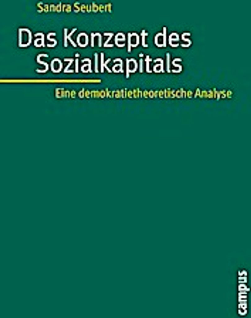 Das Konzept des Sozialkapitals