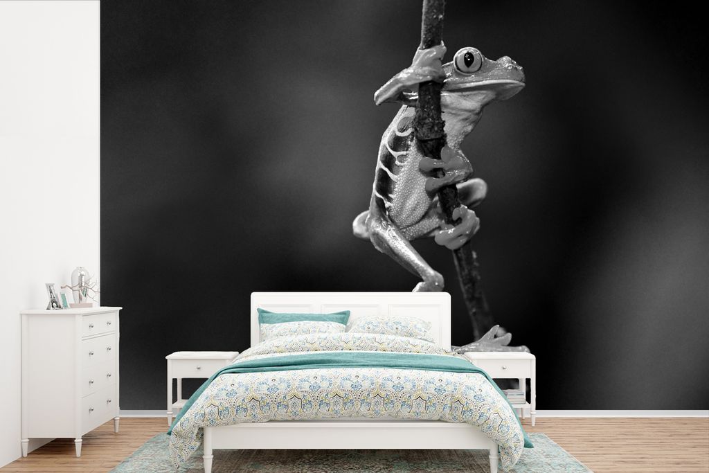 MuchoWow Fototapete für Wohnzimmer oder Schlafzimmer Wandtapete Vinyl Motivtapete Rotaugenlaubfrosch im Dschungel - schwarz und weiß - 420x280 ...